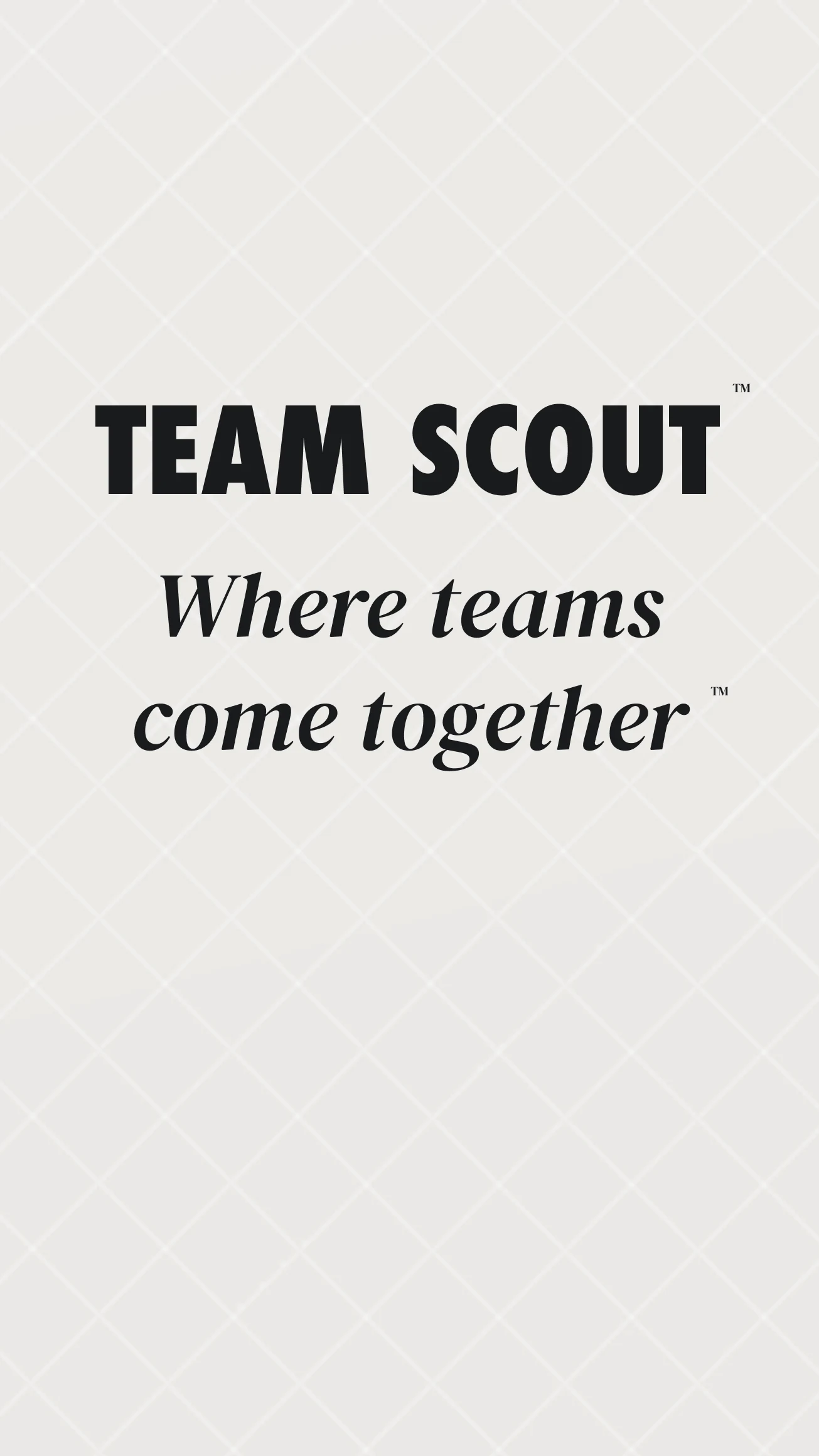 Team Scout screenshot